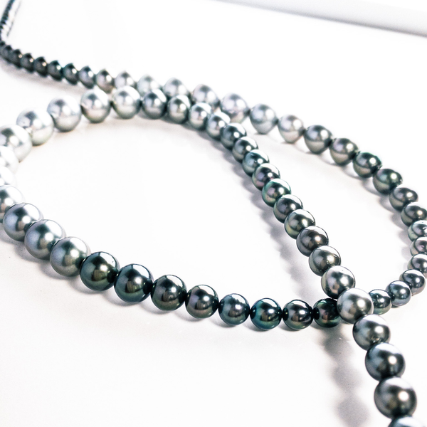 ANDY MULLER アンディミュラー Pearlパールネックレス 南洋真珠 ANDY MULLER アンディミュラー Pearlパールネックレス 南洋真珠