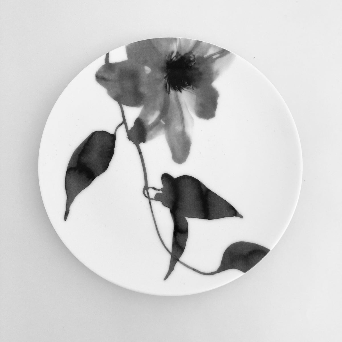 hakuji – GALLERY T.K. ART